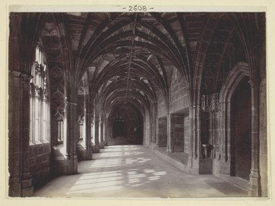 Sans titre - Francis Bedford