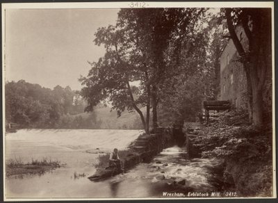 Wrexham, Erbistock Mill - Francis Bedford