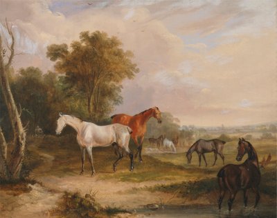 Chevaux paissant : un étalon gris paissant avec des juments dans un pré - Francis Calcraft Turner