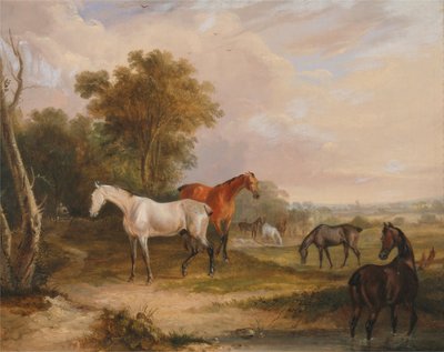 Chevaux au pâturage : un étalon gris au pâturage avec des juments dans un pré - Francis Calcraft Turner