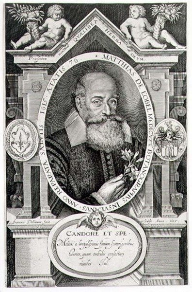 Portrait de Matthias de Lobel (1538-1622) - Francis Delaram