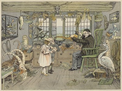 Bird-Stuffer (lithographie couleur) - Francis Donkin Bedford