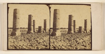 Colonnes dénudées dans le désert, peut-être à Thèbes - Francis Frith