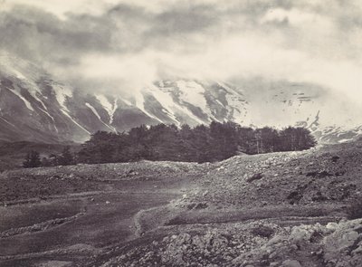 Vue lointaine des cèdres du Liban - Francis Frith