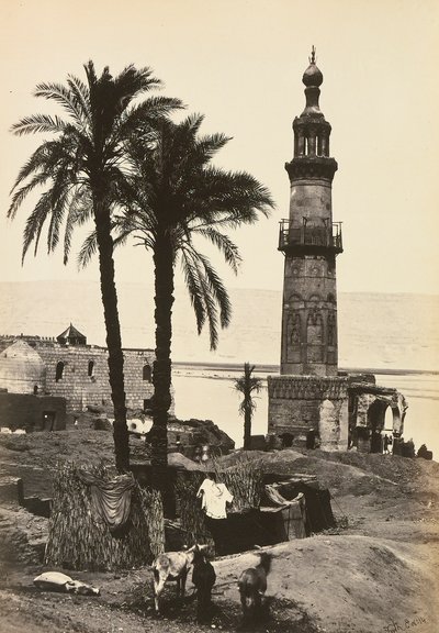 "Égypte et Palestine": vue de Girgeh, Haute-Égypte - Francis Frith