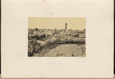Gaza (La vieille ville) - Francis Frith