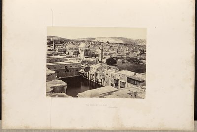 La piscine d