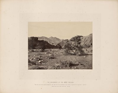 Le désert du péché (Wady Shellal) - Francis Frith