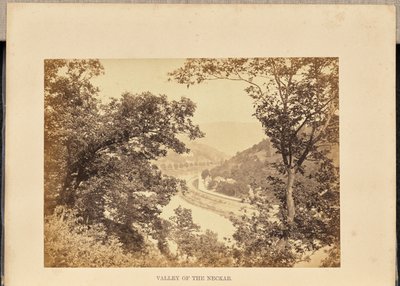 Vallée du Neckar - Francis Frith