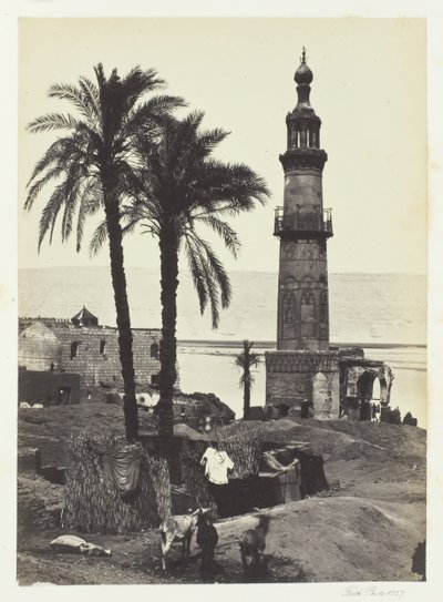 Vue à Girgeh, Haute Égypte - Francis Frith