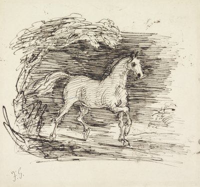 Un cheval gris trottant hors d