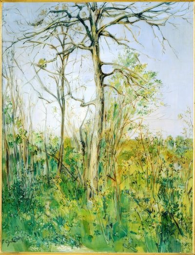 Paysage - Francis Gruber