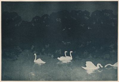 Les Cygnes - Francis Jourdain