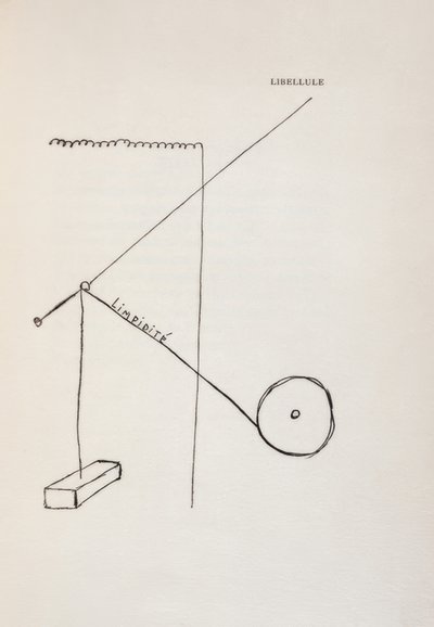 Libellule - Francis Picabia