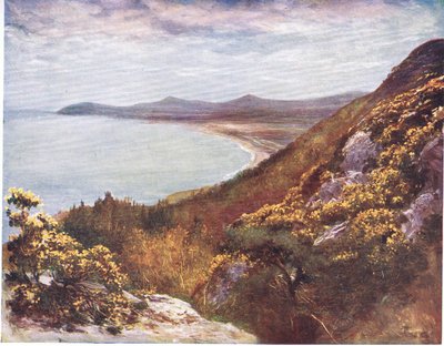 Baie de Dublin depuis Victoria Hill, de Regards sur de Nombreux Pays: Irlande publié par Adams & Charles, 1909 - Francis S. Walker