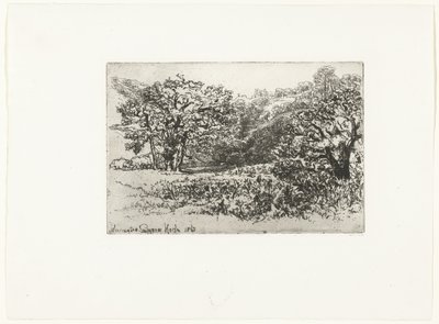 Landschap met een kudde dieren - Francis Seymour Haden (Sir) (signed by artist)
