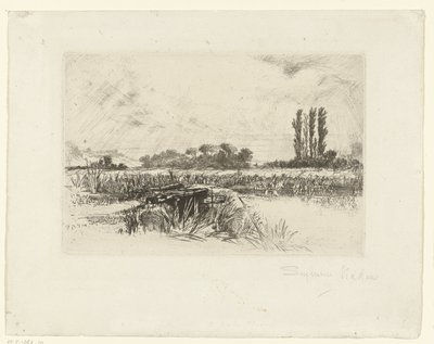 Prairie inondable - Francis Seymour Haden (Sir) (signed by artist)