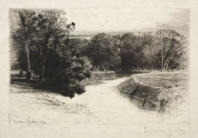 Un coucher de soleil en Irlande - Francis Seymour Haden
