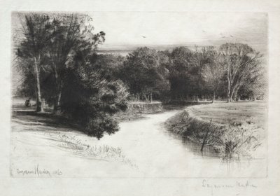 Un coucher de soleil en Irlande - Francis Seymour Haden