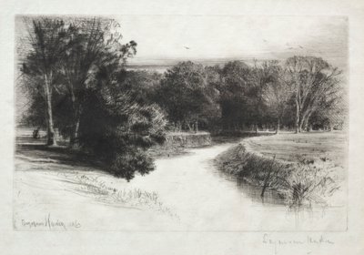 Un coucher de soleil en Irlande, 1863 - Francis Seymour Haden