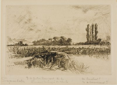 Un pré humide - Francis Seymour Haden