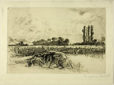 Un pré humide - Francis Seymour Haden