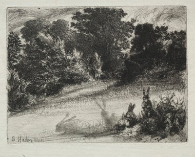 Combe Bottom - Francis Seymour Haden
