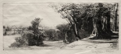 Matin tôt, Richmond Park - Francis Seymour Haden