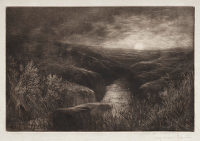 Repaire du moustique - Francis Seymour Haden