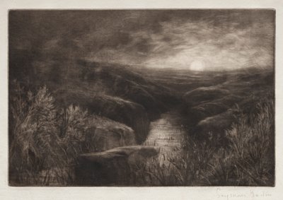 Le Repaire du moustique - Francis Seymour Haden