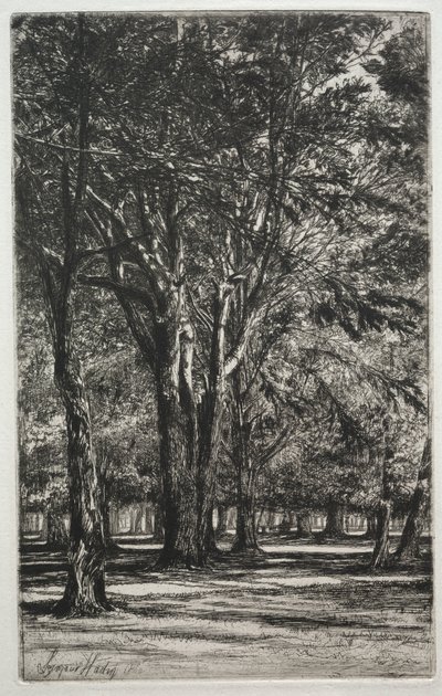 Jardins de Kensington (La Grande Planche) - Francis Seymour Haden