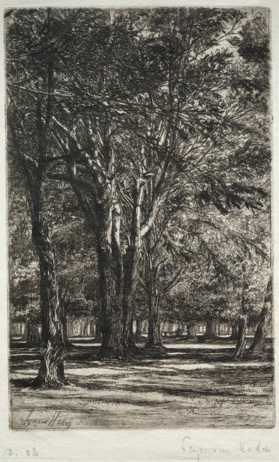 Jardins de Kensington (La Grande Planche) - Francis Seymour Haden