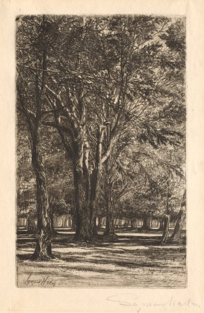 Kensington Gardens, No. 2 Grande Plaque - Francis Seymour Haden