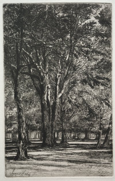 Jardins de Kensington La Grande Plaque, 1860 - Francis Seymour Haden