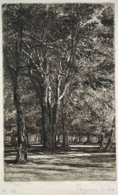 Kensington Gardens La Grande Planche, 1860 - Francis Seymour Haden