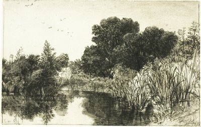 Shere Mill Pond, No. II - Francis Seymour Haden
