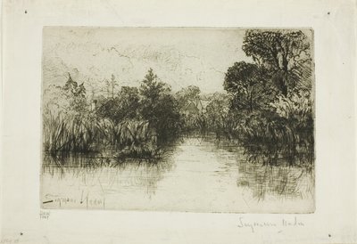 Étang de Shere Mill, n° I (petite plaque) - Francis Seymour Haden