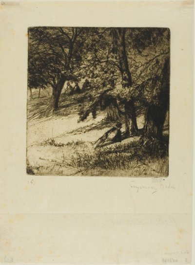 Sous le couvert... - Francis Seymour Haden