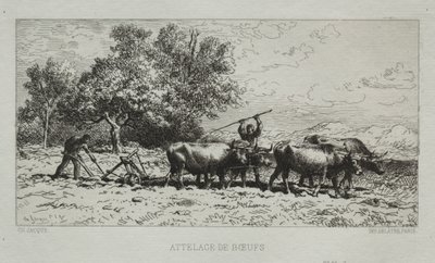 Attelage de bœufs - Francis Seymour Haden
