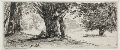 Le champ de houx - Francis Seymour Haden