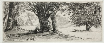 Le Champ de houx - Francis Seymour Haden