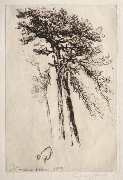 Le dernier arbre - Francis Seymour Haden