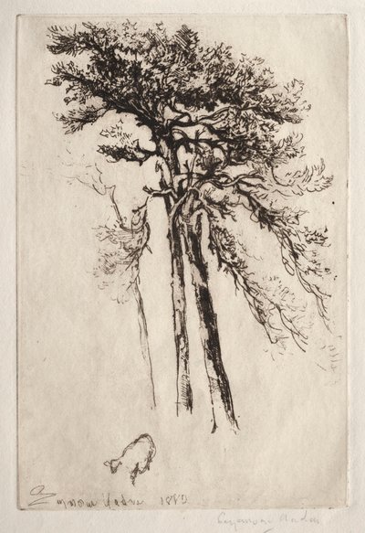 Le dernier arbre - Francis Seymour Haden