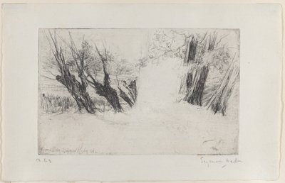 La Promenade des Amoureux, No. I, 1864 - Francis Seymour Haden