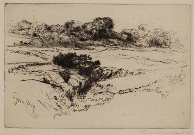 Colline du moulin à vent n°2 - Francis Seymour Haden