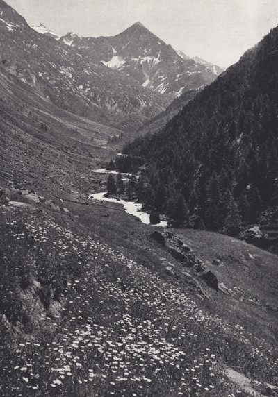 Alpes orientales : Dans la vallée de Windach - Francis Sydney Smythe