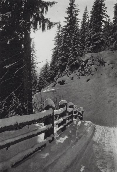 Les Alpes : Matin d