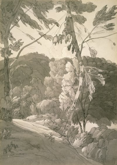 Paysage boisé (Scène à Indinowle) 1783 - Francis Towne