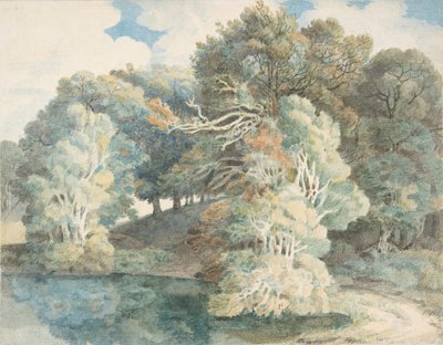Arbres près du lac, Peamore Park, près d