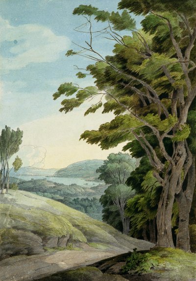 Vue depuis Rydal Park - Francis Towne